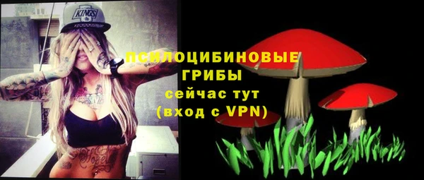 стафф Покачи