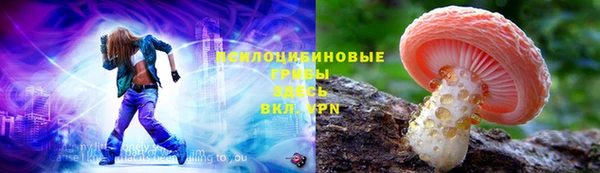 стафф Покачи