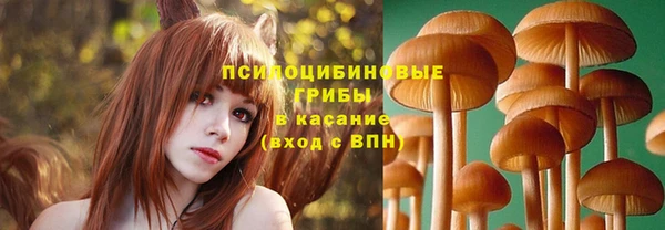 соль ск Покров