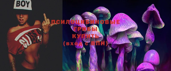 стафф Покачи