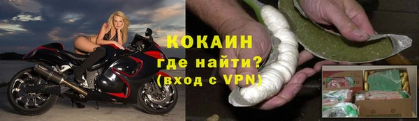 стафф Покачи
