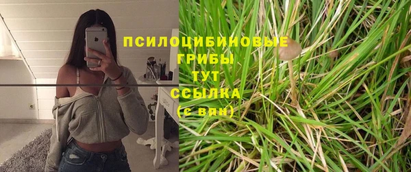 стафф Покачи