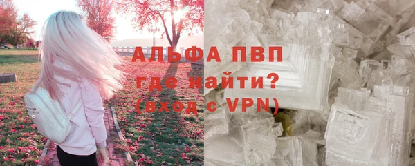 стафф Покачи